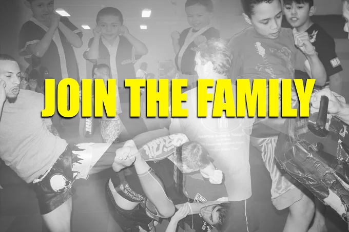 Thornton Martial Arts and Fitness facility image