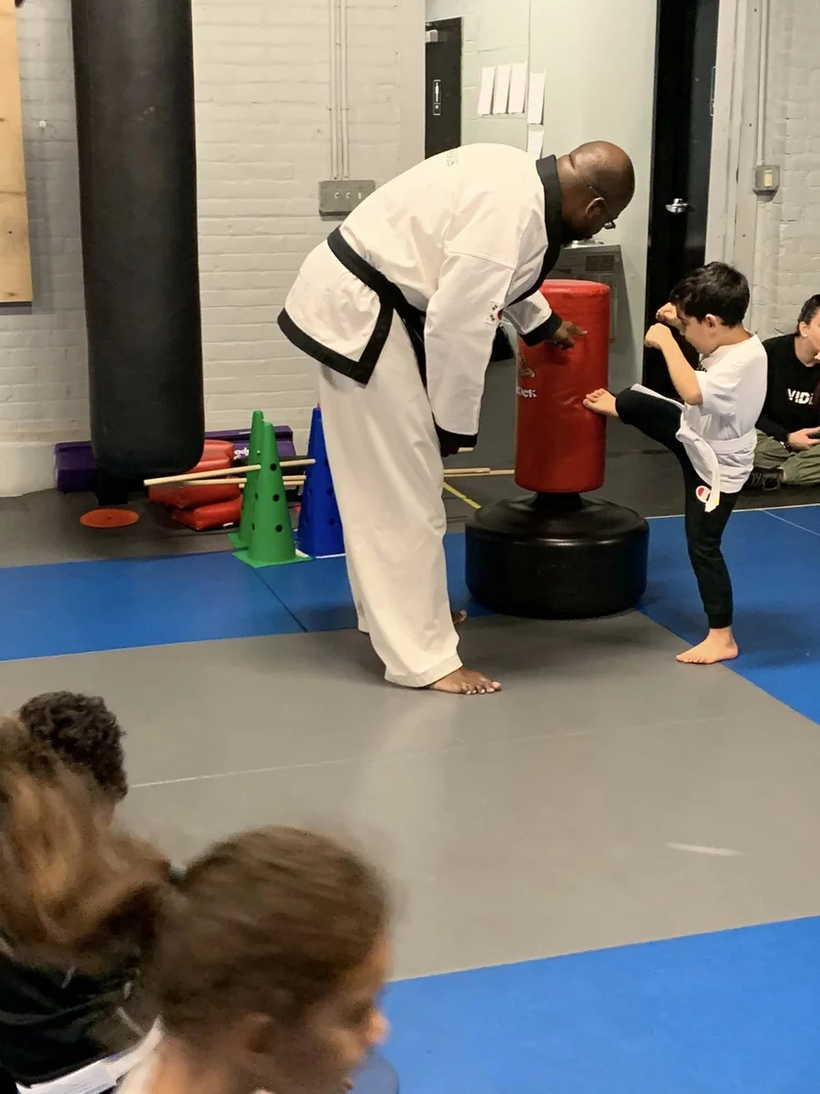 Thornton Martial Arts and Fitness academy logo