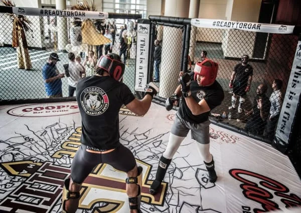 Underdog Mixed Martial Arts facility image