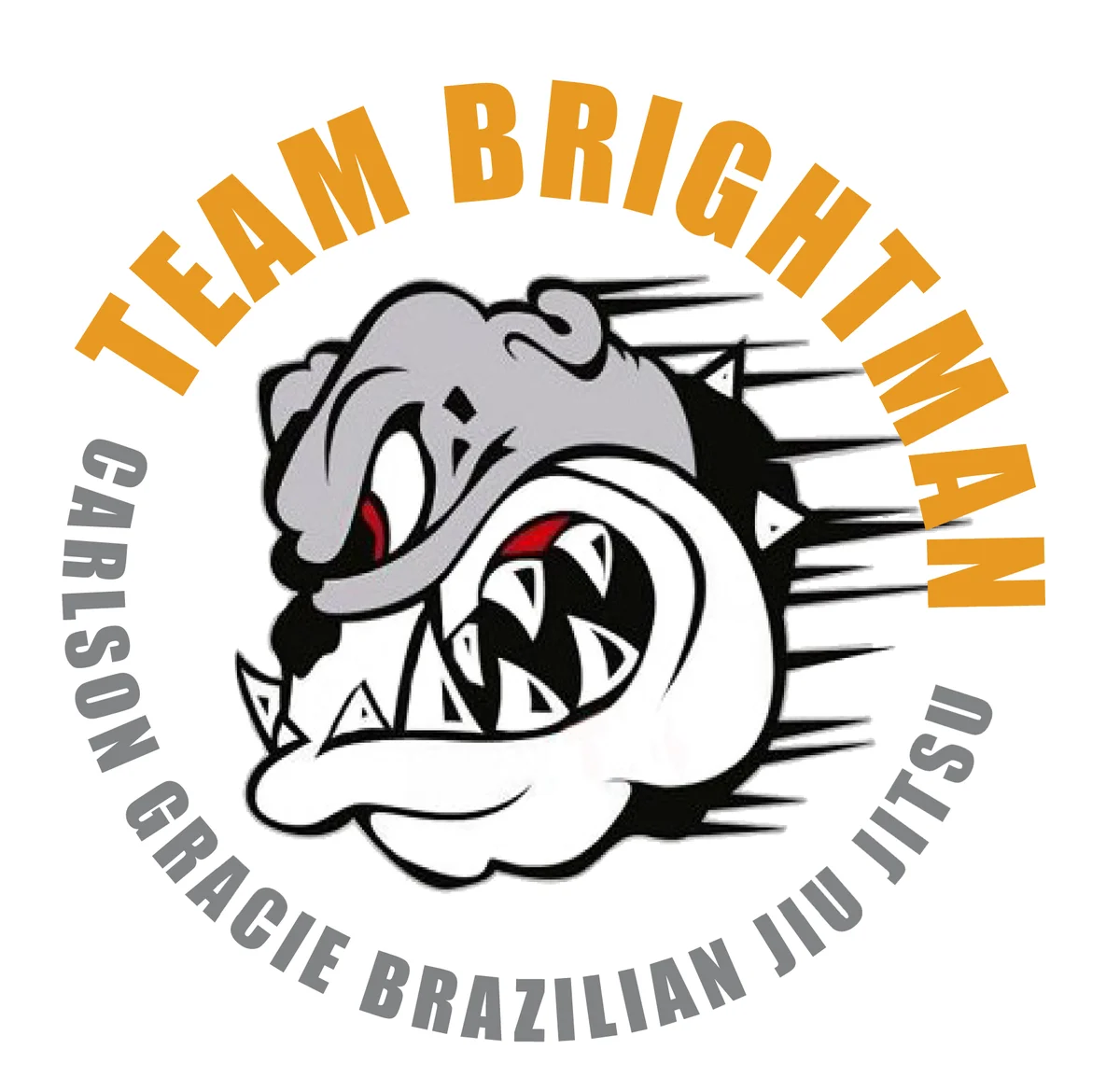 VINCENT BRIGHTMAN'S academy logo