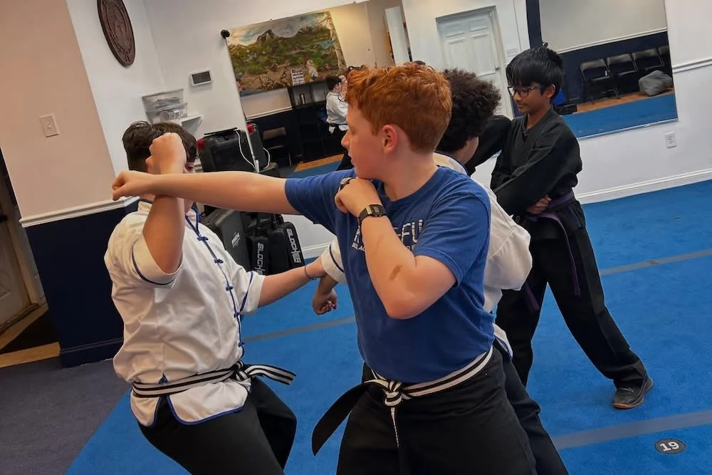 American Martial Arts Institute visual