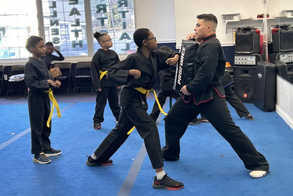 American Martial Arts Institute academy photo