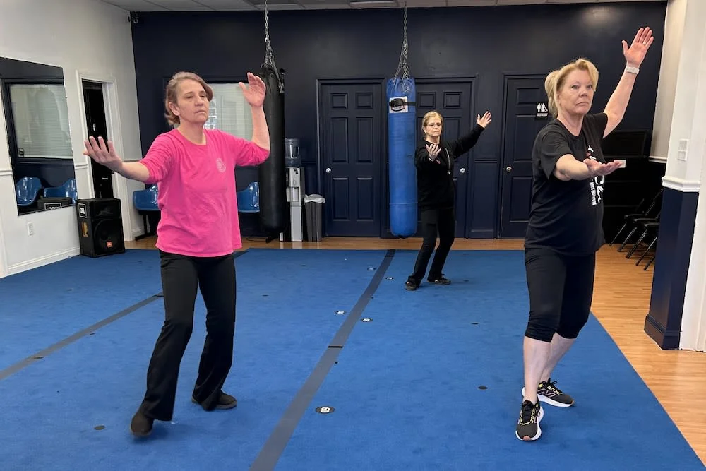 American Martial Arts Institute academy photo