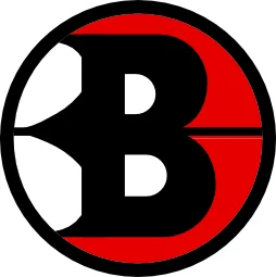 Bowman Systems MMA academy logo