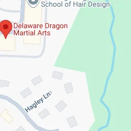 Delaware Dragon Martial Arts academy photo