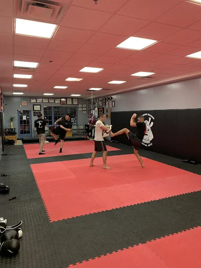 Delaware Dragon Martial Arts academy photo