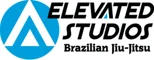 elevated studios martial arts academy photo