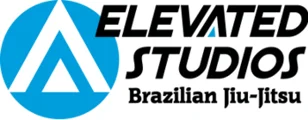 elevated studios martial arts academy photo