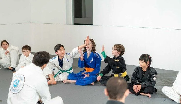 elevated studios martial arts academy photo