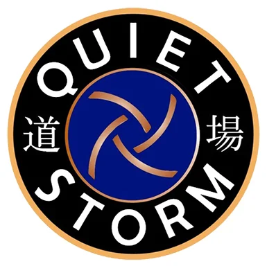 Quiet Storm Dojo academy photo