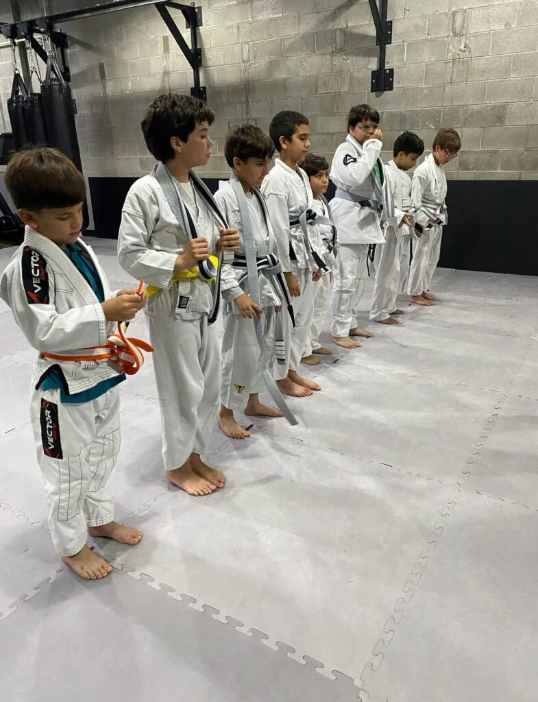 Andre Gusmão Academy facility image