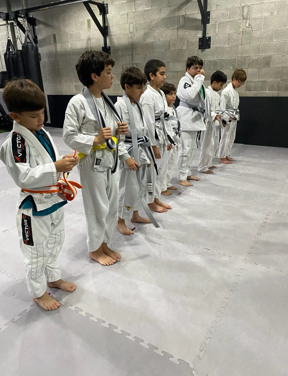 Andre Gusmão Academy facility image