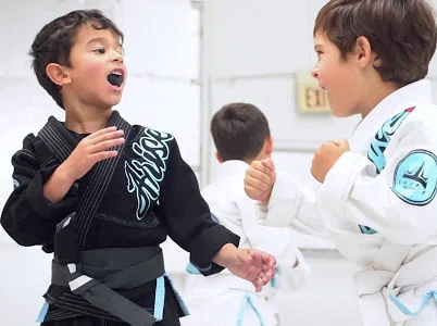 Arise Martial Arts / Arise Jiu Jitsu facility image