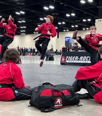 Finney's Tiger Rock Martial Arts Academy academy photo