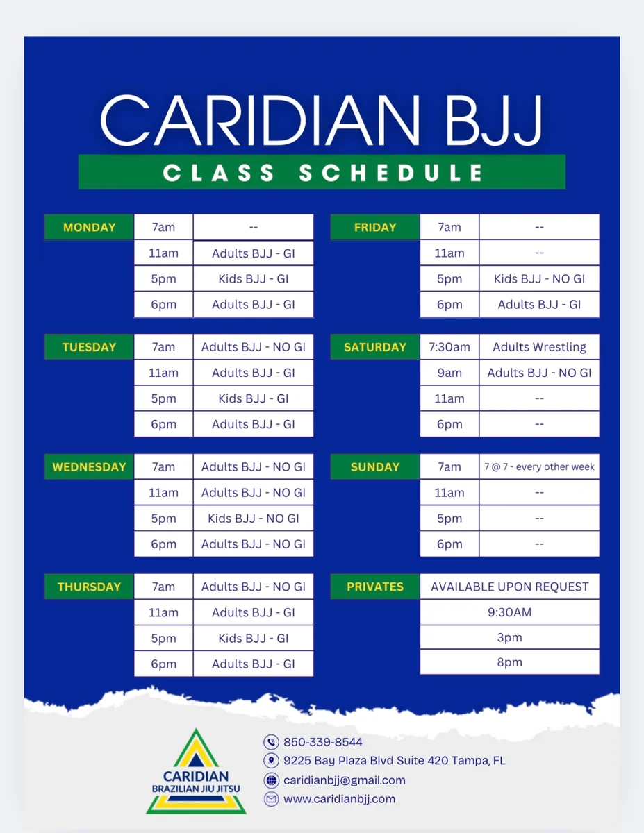 Caridian Brazilian Jiu Jitsu academy photo