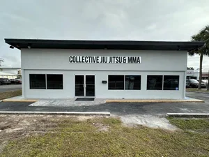 Collective Jiu Jitsu & MMA academy photo
