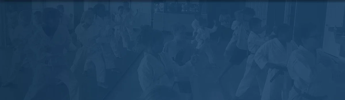 Elevate Martial Arts visual