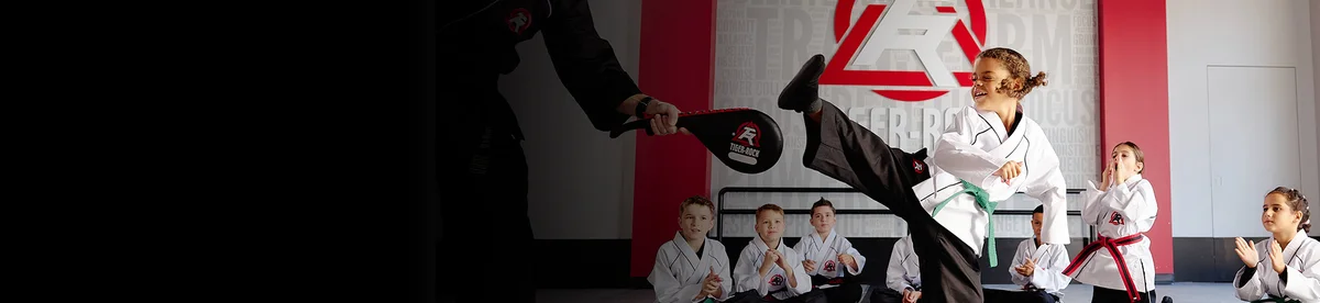Finney's Tiger Rock Martial Arts Academy visual