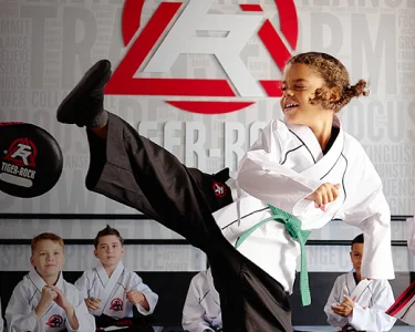 Finney's Tiger Rock Martial Arts Academy academy photo