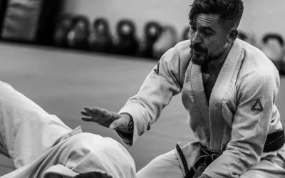Framework BJJ academy logo