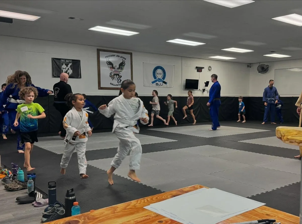 Freedom Jiu Jitsu Collective academy photo
