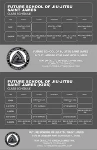 Future School of Jiu Jitsu facility image