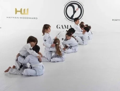 Gama Filho Martial Arts facility image