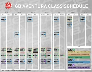 Gracie Barra Aventura academy photo