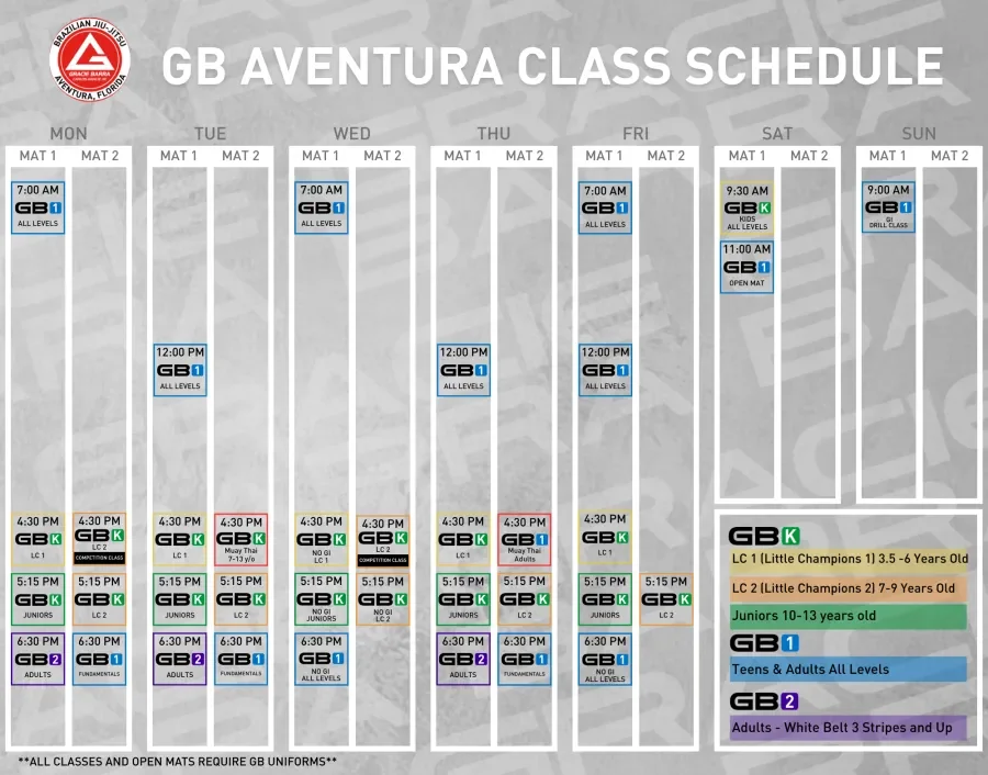 Gracie Barra Aventura academy photo
