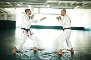 Gracie Jiu-Jitsu Green Cove Springs facility image