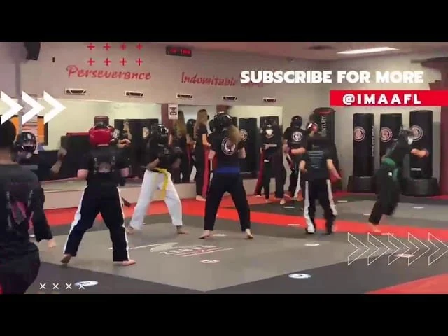 IMAA USA Multi-Style Martial Arts School academy logo