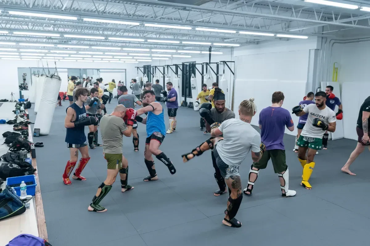 Kaizen Tampa academy photo