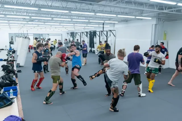 Kaizen Tampa academy photo