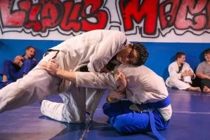 Ludus Magnus Academy of Mixed Martial Arts visual