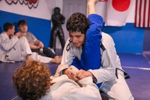Ludus Magnus Academy of Mixed Martial Arts academy photo