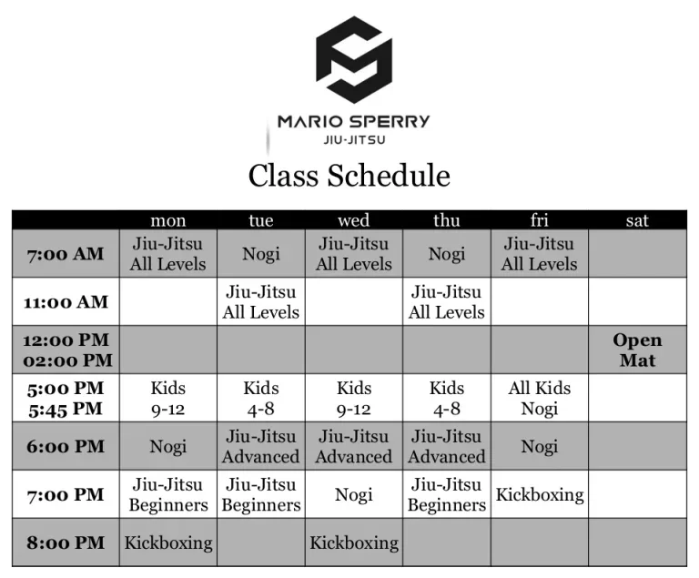 Mario Sperry Jiu-Jitsu Miami facility image