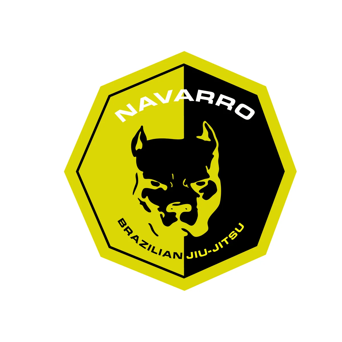 Navarro Brazilian Jiu-Jitsu Fight School academy photo