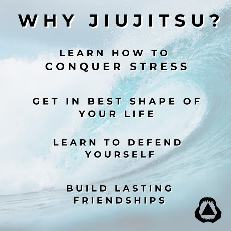 New Smyrna Beach Jiu Jitsu academy photo
