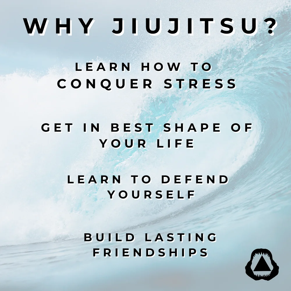 New Smyrna Beach Jiu Jitsu academy photo