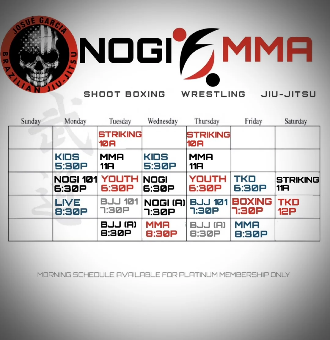 NOGI MMA academy photo