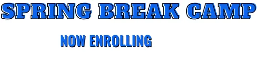 Premier Martial Arts & Fitness Training / Palm Beach Gardens Martial Arts (PBGMA) academy photo