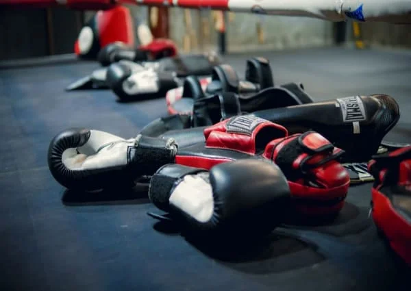 Premier Martial Arts & Fitness Training / Palm Beach Gardens Martial Arts (PBGMA) academy photo