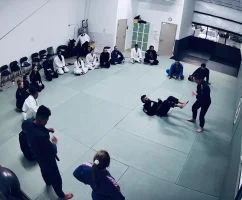 Primata Brazilian Jiu Jitsu academy photo