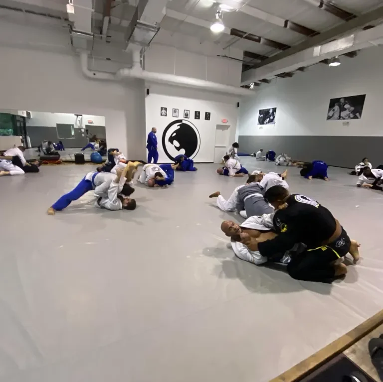 RENZO GRACIE JIU-JITSU OF LAKEWORTH, FL facility image