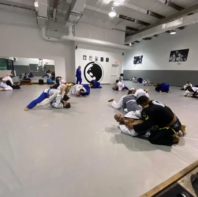 RENZO GRACIE JIU-JITSU OF LAKEWORTH, FL facility image