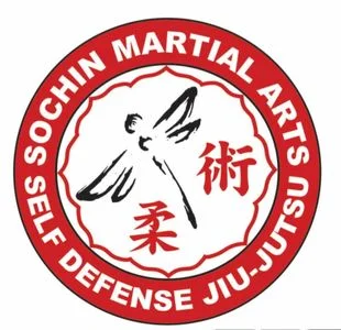 Sochin Martial Arts academy logo