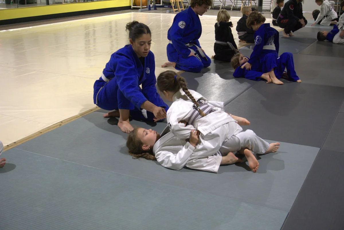 Paragon Brazilian Jiu-Jitsu academy photo