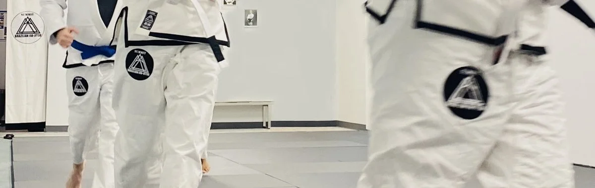 SUMMIT BJJ visual
