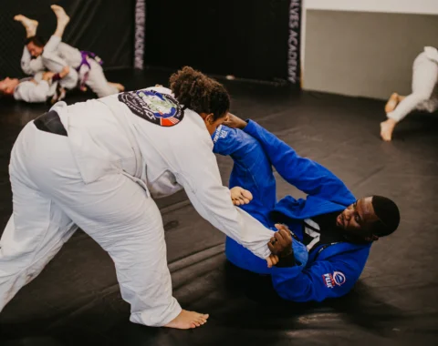 Team Alves Jiu-Jitsu facility image