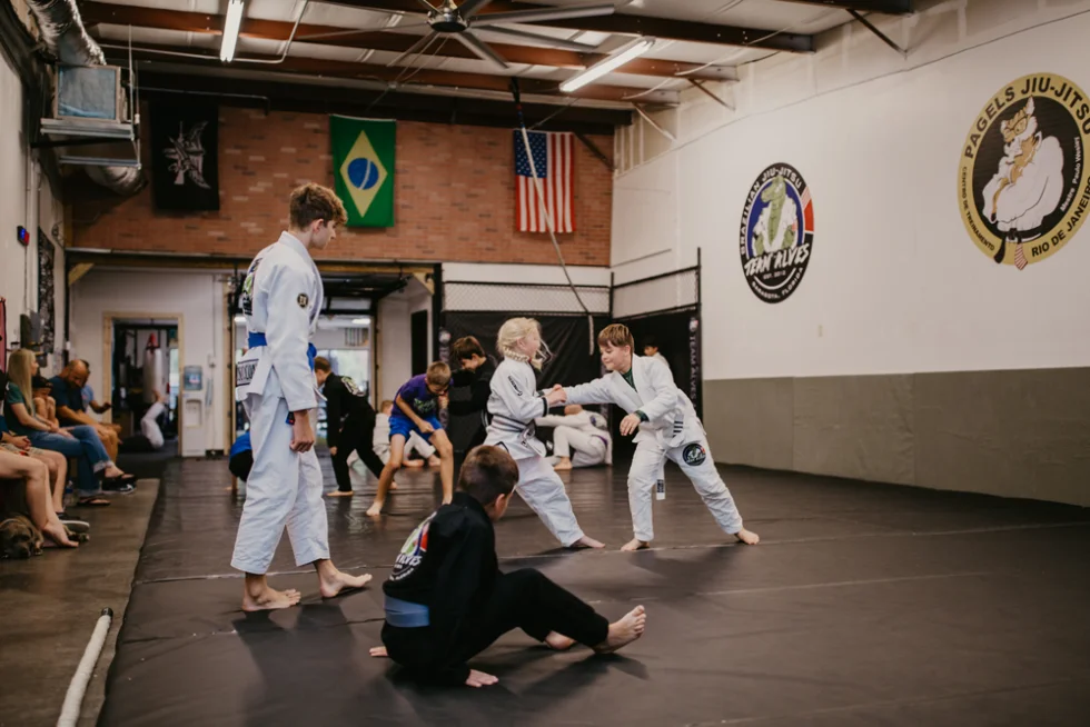 Team Alves Jiu-Jitsu facility image